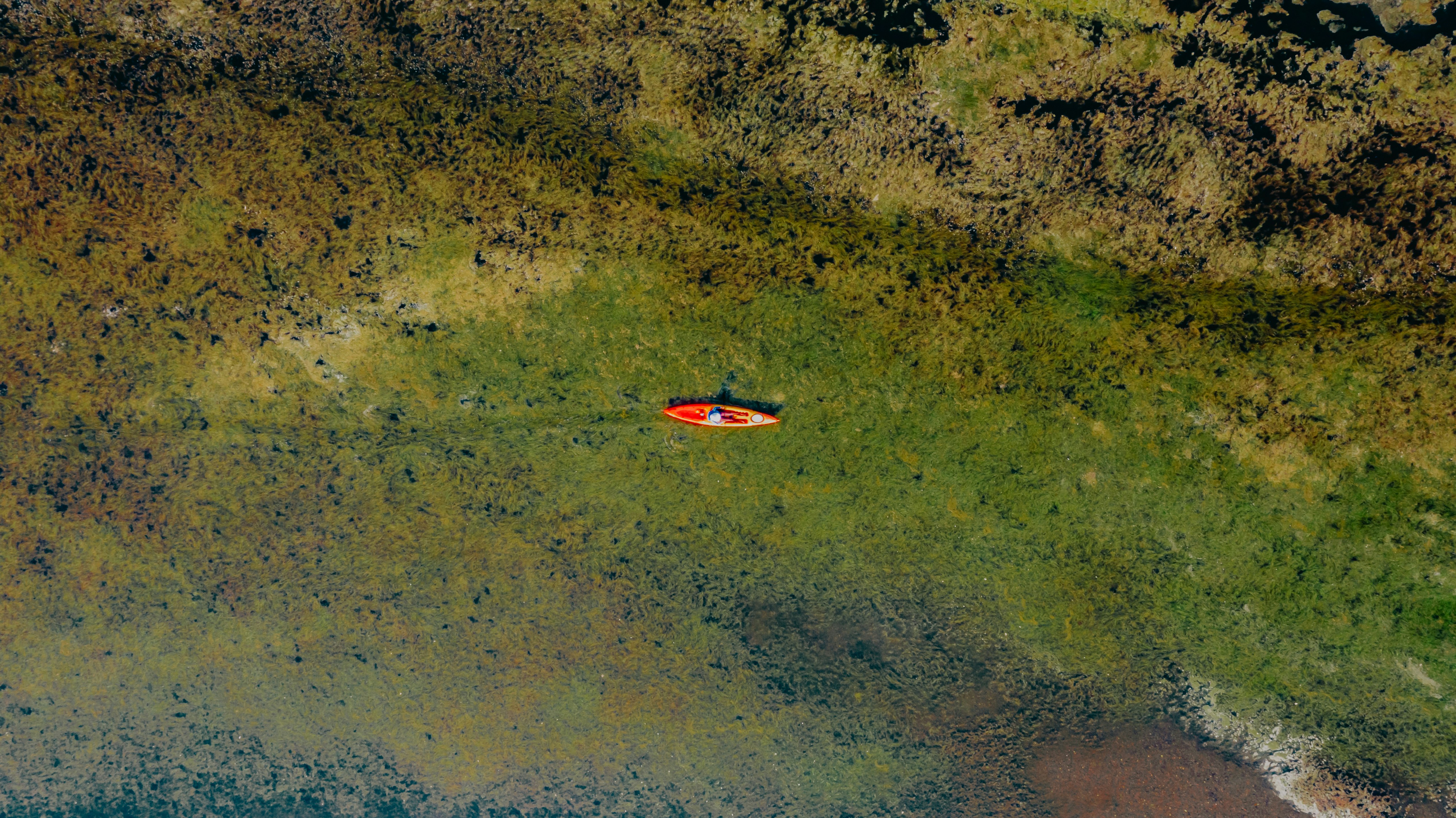 red and white boat on body of water during daytime